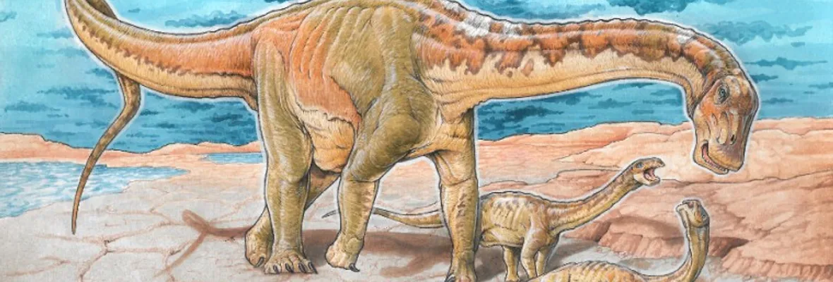 Una nueva especie de dinosaurio es hallada en Zapala, Argentina: lo apodan “Alfredito”