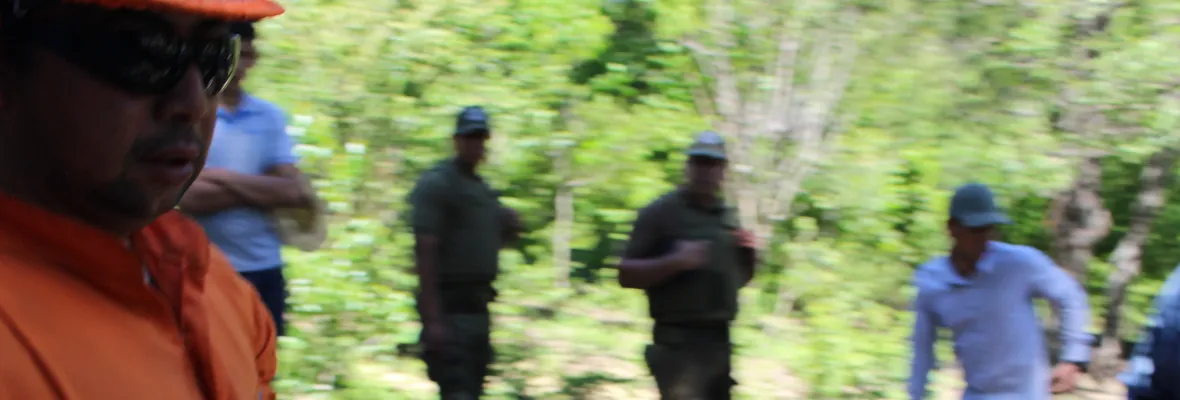 Despojo campesino y maltrato animal marcan tercera jornada de desalojos en San Fabián