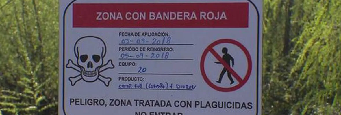Estudio apunta a urgente necesidad de restringir estrictamente el uso de plaguicidas nocivos para la salud en Chile