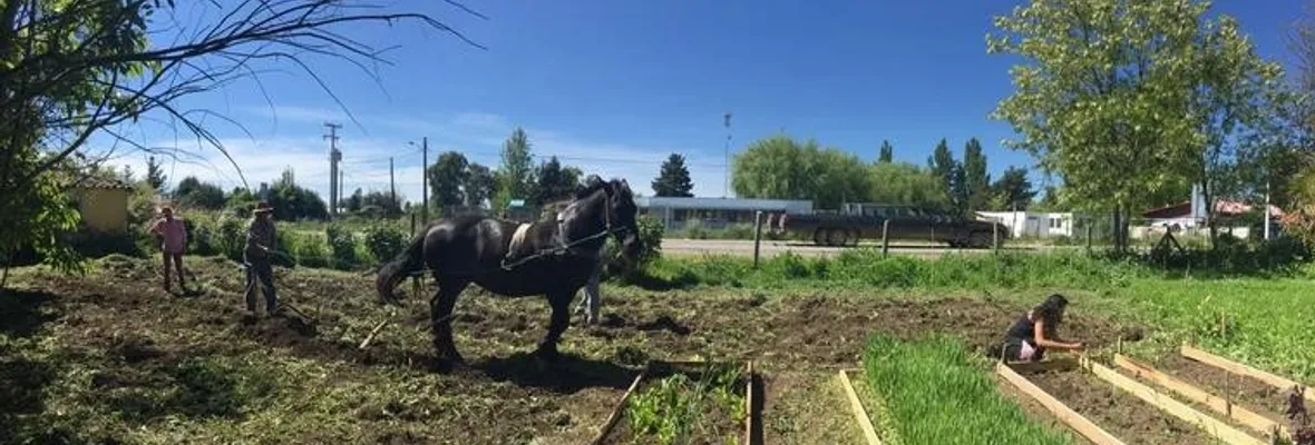 Bifurcaciones en la senda de la Agroecología: Cooptación institucional versus soberanía alimentaria