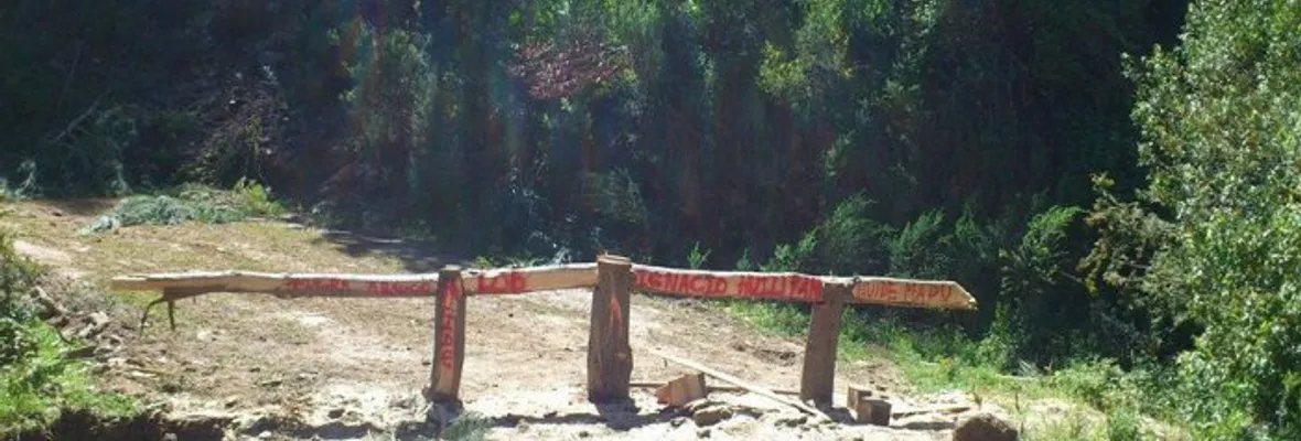 Forestal Arauco desiste de apelación y acata fallo que le obliga a devolver 97 hectáreas a comunidad mapuche
