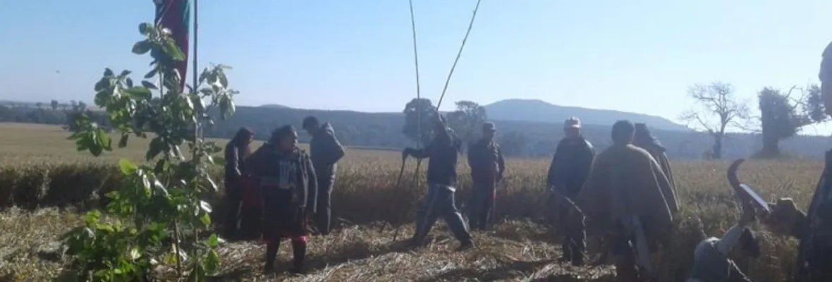 Comunidades mapuche en resistencia se movilizan por autonomía y justicia en la Araucanía y Biobío