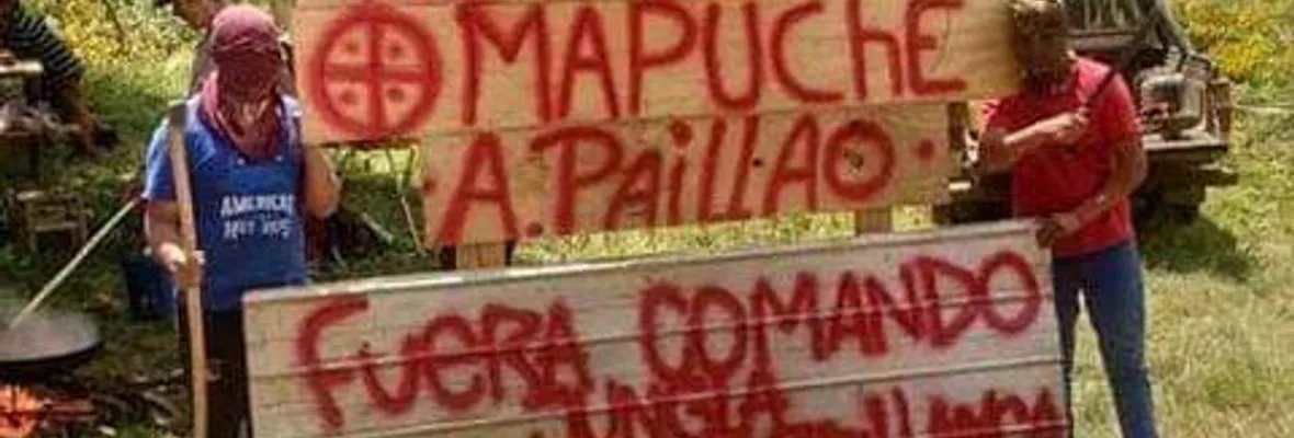 Comunidad Cacique Antonio Paillao ingresó a recuperar terrenos a forestal Mininco en Tirúa