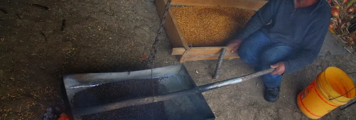 Datos y recetas| Cocina Mapuche, alimentando el cuerpo y el espíritu