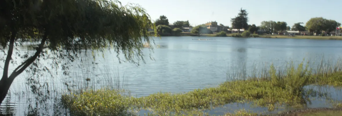 Fuegos artificiales en las lagunas: Un daño a la biodiversidad de ecosistemas de Concepción