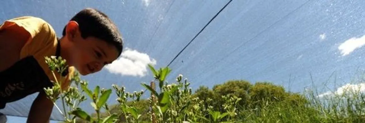 Estudio confirma que la población infantil expuesta a fumigaciones con agrotóxicos tiene daño genético en Paraguay
