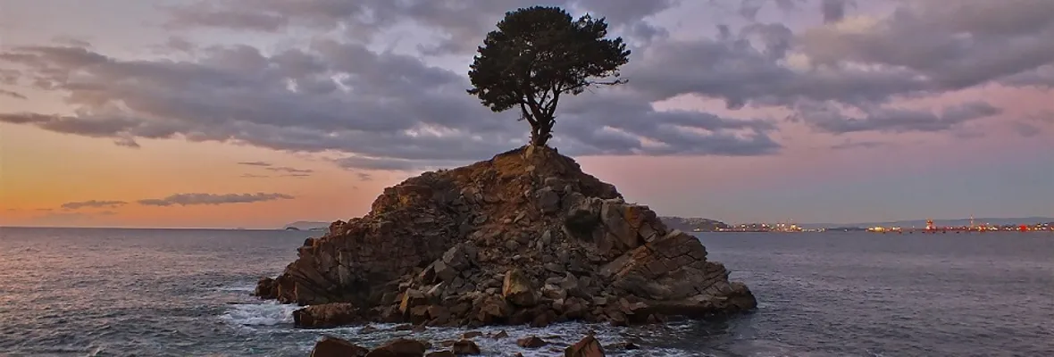 La naturaleza en el centro de la nueva Constitución