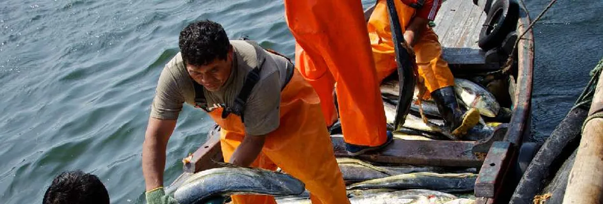 Victoria de pescadores artesanales: Gobierno desiste de enviar veto aditivo