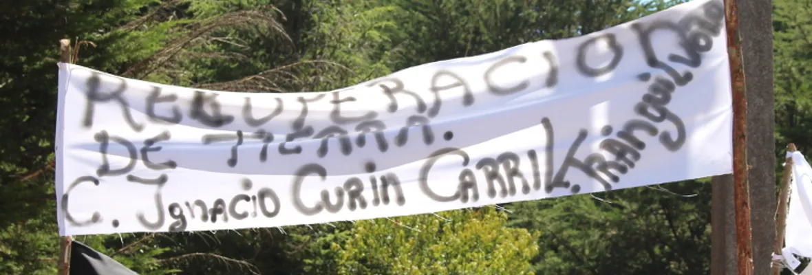 Emprenden recuperación territorial en predio apropiado por Forestal Mininco