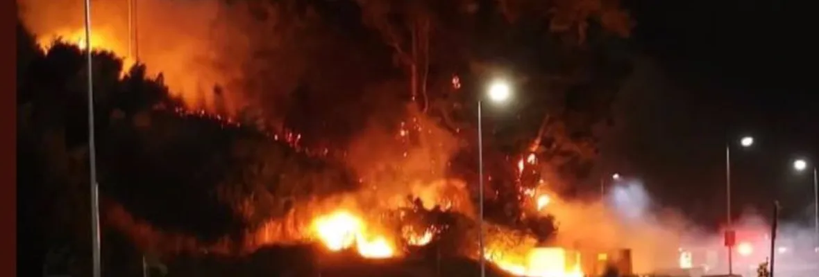 Incendios forestales en Penco, Florida, San Pedro, Coronel y Talcahuano se combaten en medio de fuertes vientos