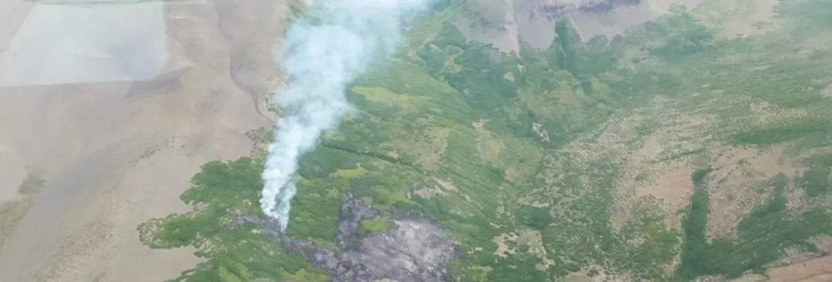 Incendio en Reserva Ñuble ha consumido al menos 20 hectáreas de bosque nativo