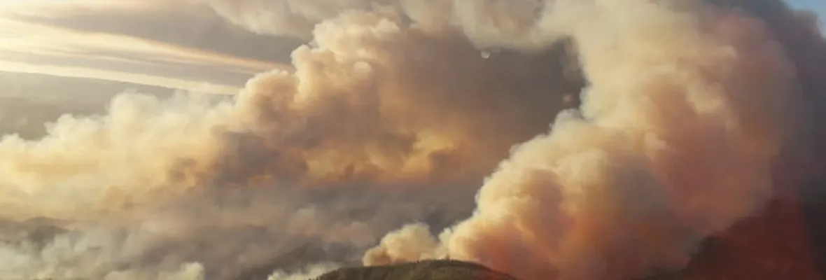 Último balance de Onemi: Incendios en Nacimiento y Cañete siguen activos con miles de hectáreas quemadas