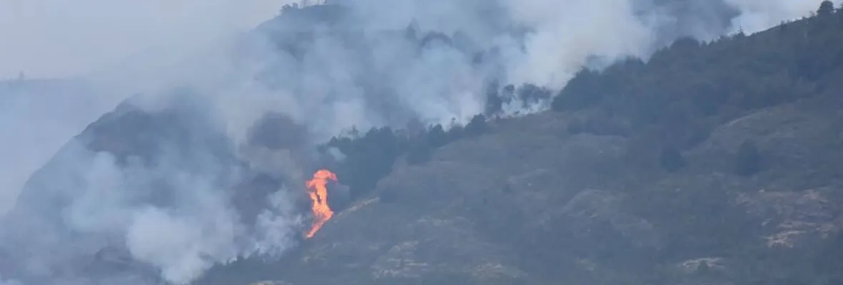 Cerca de 6 mil hectáreas de bosque nativo consumen incendios en Aysén