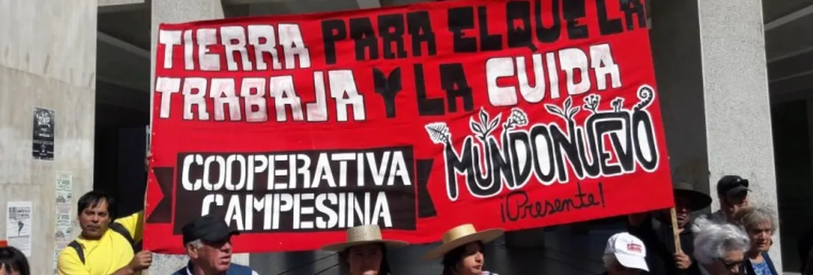 Recuperación territorial Mundo Nuevo interpone recurso de protección y realiza marcha en Concepción