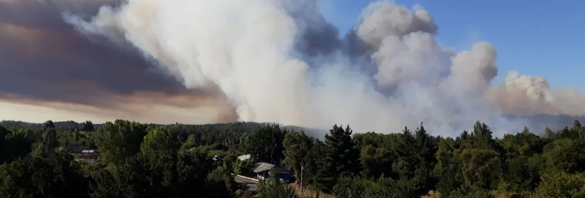 Incendios en Nacimiento, Tirúa y Alto Biobío siguen activos, mientras se soslaya incidencia del negocio forestal en ellos