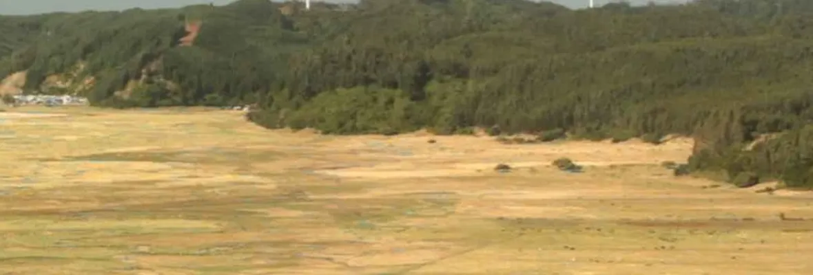 Renaico: los estragos de 9 parques eólicos y 2 solares en la comuna más pequeña de La Araucanía