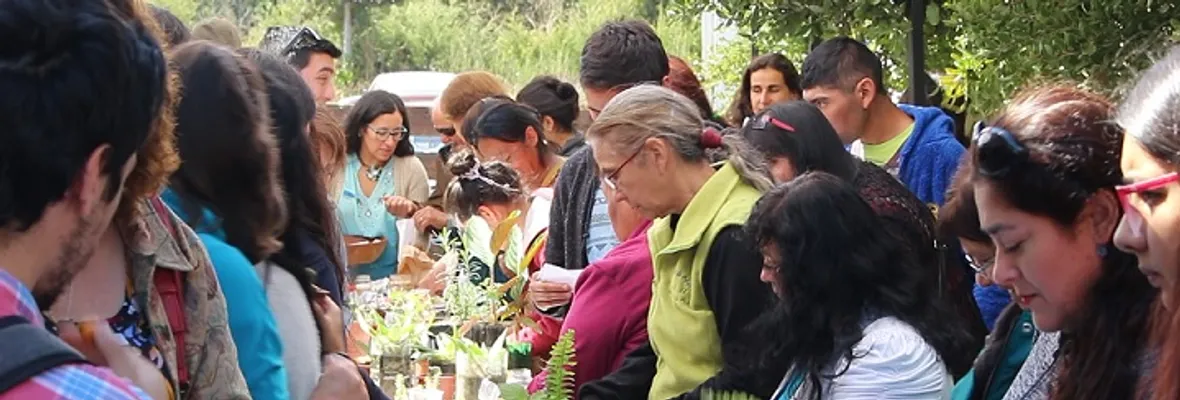 Se realizó intercambio de semillas y saberes agrícolas en Tomé