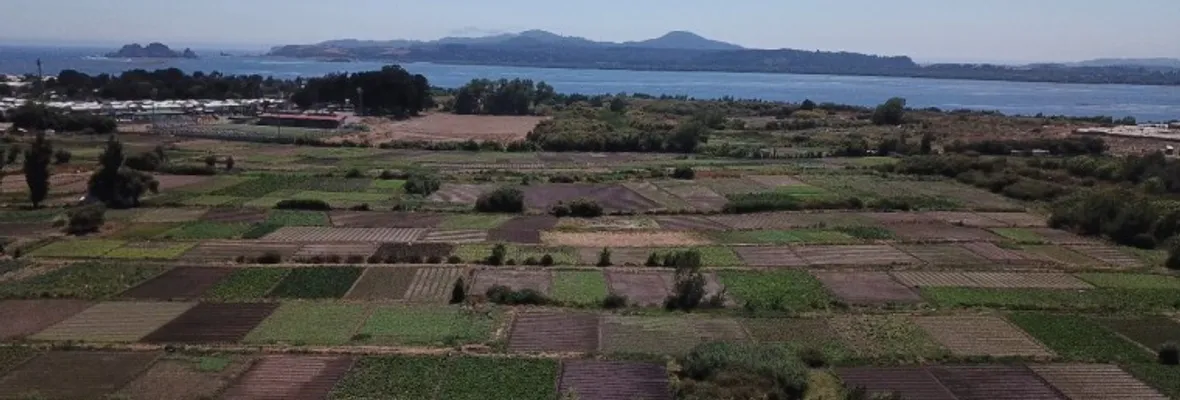 Buscan revocar permiso ambiental de proyecto Puente Industrial por afectación a producción agrícola de San Pedro y al humedal Los Batros