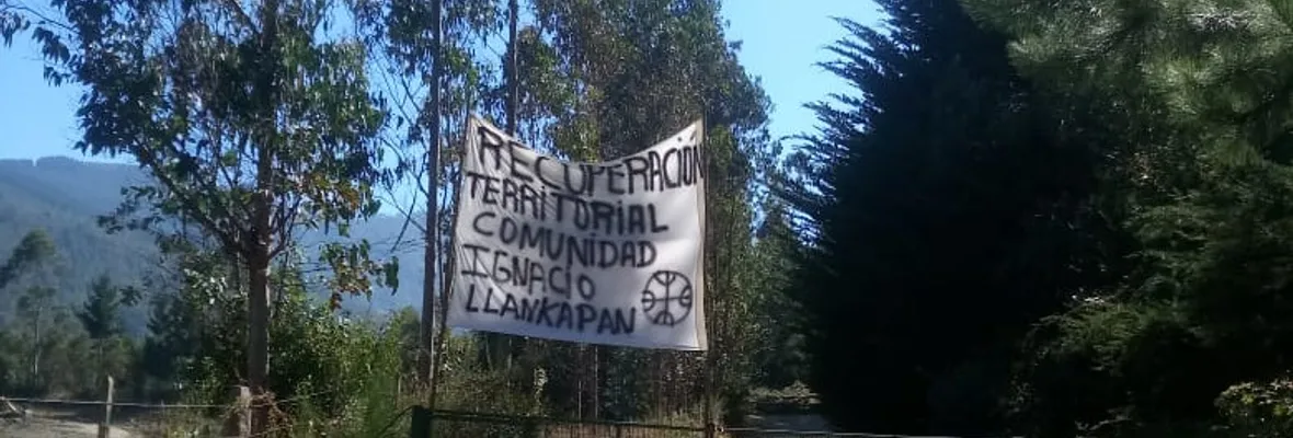 Por subsistencia y contra el hacinamiento: recuperación territorial mapuche a Forestal Mininco en fundo Tres Sauces en Cañete