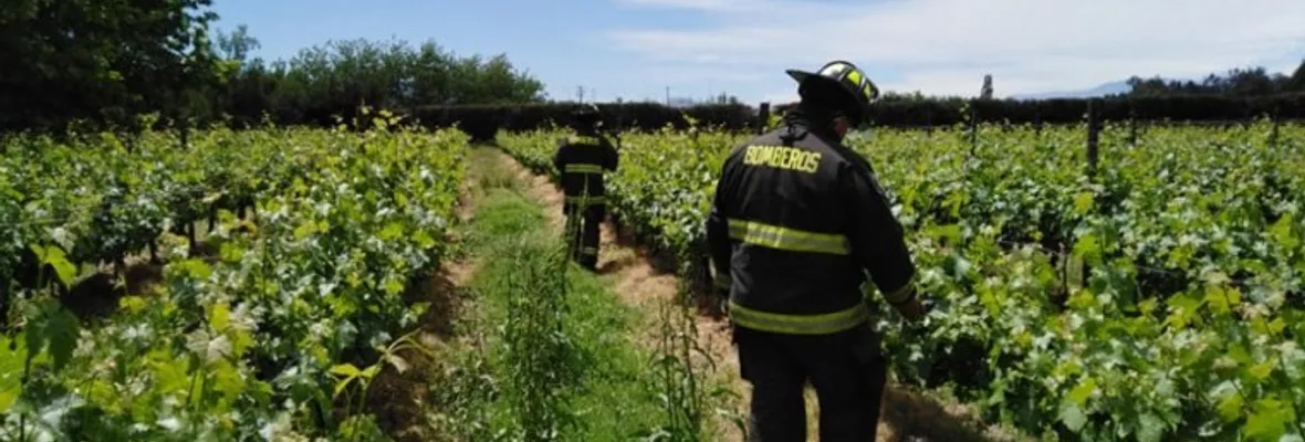 Estudio evaluó presencia de pesticidas en el aire de la comuna de Peumo, provincia de Cachapoal