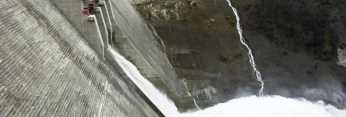 Hidroeléctrica Ralco lleva más de 20 años funcionando sin ejecutar la reforestación comprometida
