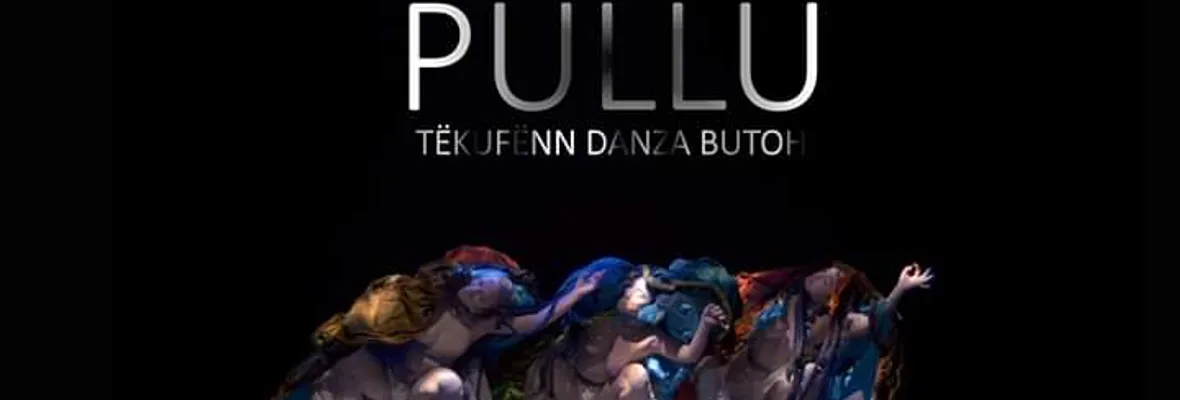 Danza| Nueva Temporada de PÜLLÜ en Concepción