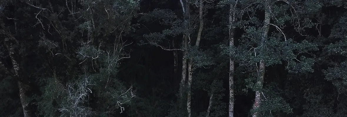 El gran valor cultural y natural del terreno que se vería gravemente afectado por la minería de tierras raras en Penco