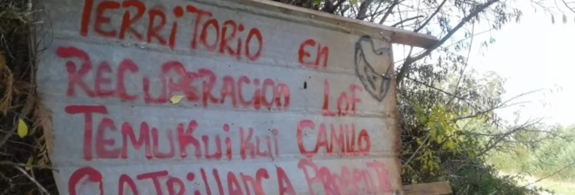 Desde Lof Temucuicui afirman tras visita de Siches: "Tenemos hermanos encarcelados, condenados y a la espera de juicios, mientras esto no se atienda no podemos sostener diálogo"