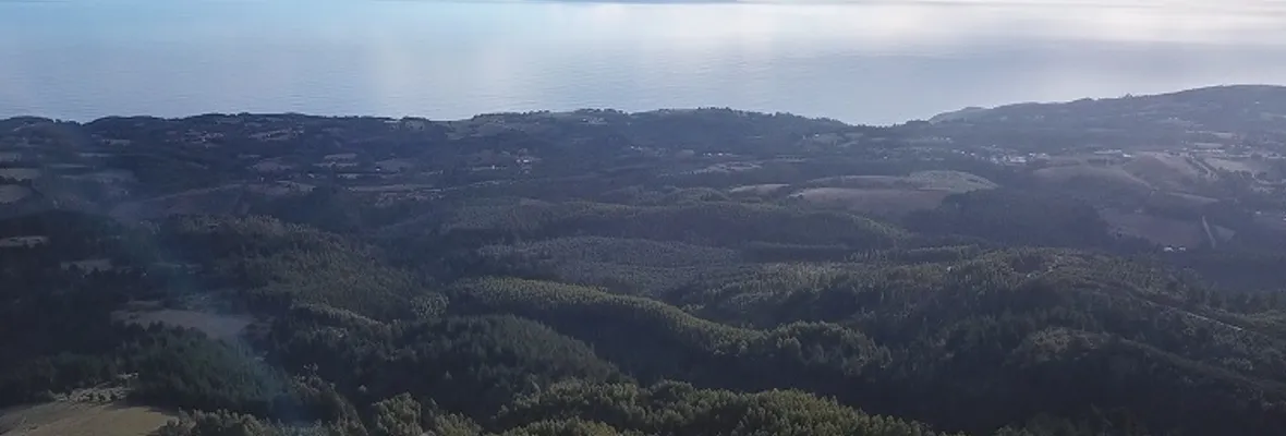 “Mientras estén las forestales va haber un conflicto con las comunidades” señala Alcalde de Tirúa tras plebiscito