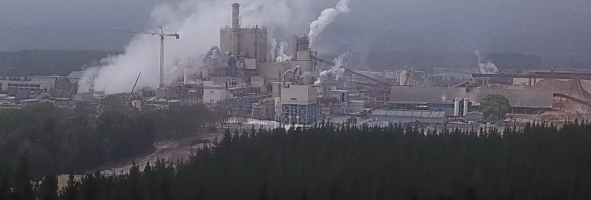 Lanzan campaña contra la industria forestal: “Voces Territoriales Frente al Proyecto MAPA”