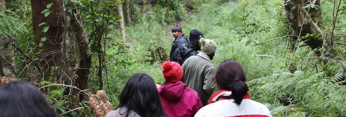 Taller de Bosques comestibles y soberanía alimentaria se realizó en Tirúa