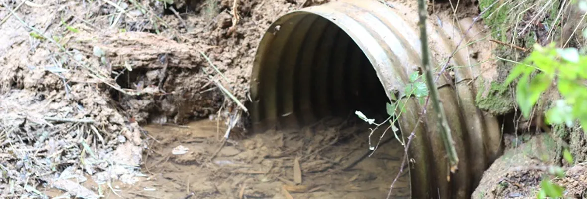 VIDEO | Alertan de impactos socio-ambientales negativos del Parque Científico y Tecnológico en Concepción