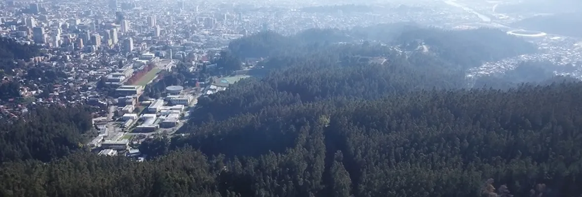 Irregular Parque Científico y Tecnológico del Biobío: ni siquiera tiene Estudio de Impacto Ambiental