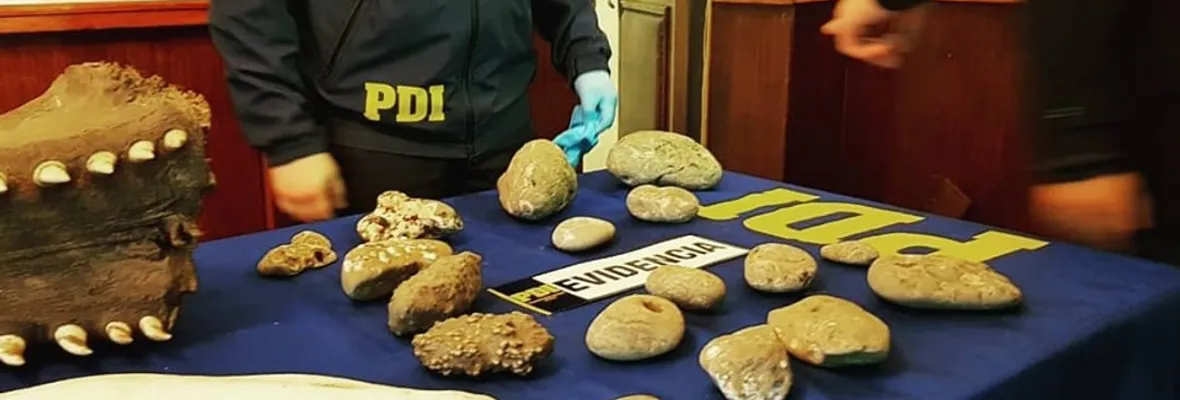 PDI detiene en Cañete a sujeto que poseía invaluable material patrimonial arqueológico y decomisa los bienes