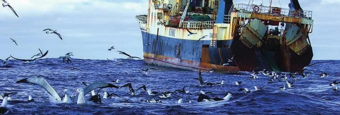 Cámara de Diputados aprobó proyecto de nulidad de la corrupta Ley de Pesca y ahora pasa al Senado