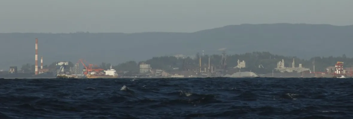 Estudio propone 8 urgentes medidas para proteger los océanos ante la crisis climática, la contaminación y la explotación industrial