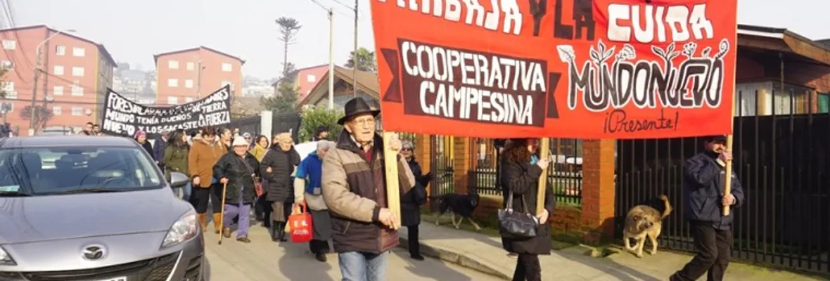 Continúa juicio contra campesinos de Mundo Nuevo en Curanilahue: Forestal Arauco les acusa de usurpación de tierras