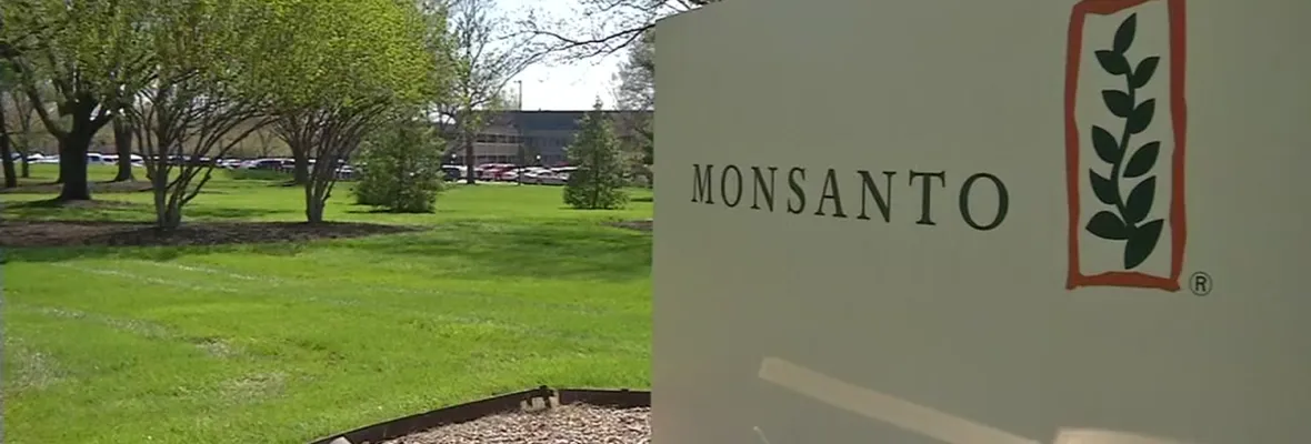 Reportaje revela que Monsanto pagó a Google para ocultar artículos en su contra