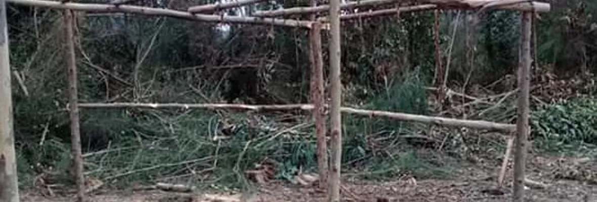 Mapuches recuperan y ejercen control territorial en Liucura bajo, Tirúa