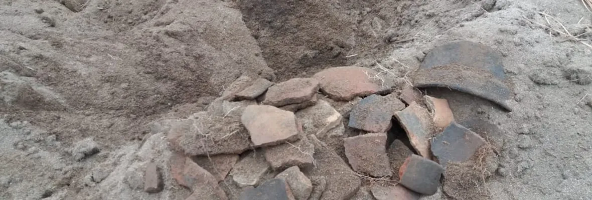 Fotos confirmarían hallazgos arqueológicos mapuche en ampliación de Celulosa Arauco