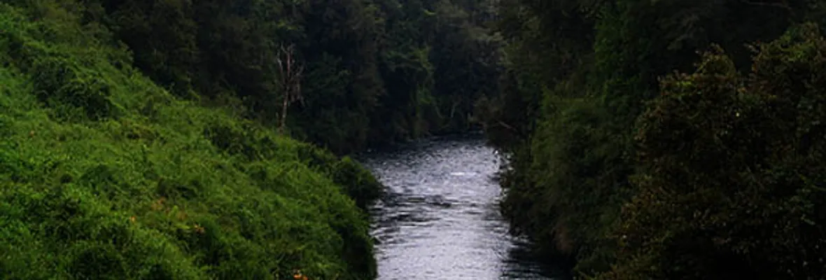 Día del Agua: movimiento socioambiental llama a un activismo en tiempos de pandemia
