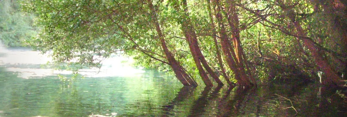 La lucha en defensa del río Pilmaiquén y el cementerio mapuche Kintuante en Osorno