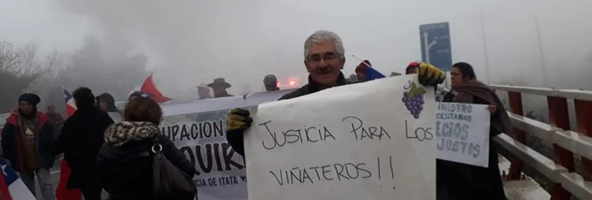 Viñateros ponen sus expectativas en reunión con Boric, “porque pareciera que el ministerio de Agricultura nos está cerrando la puerta”