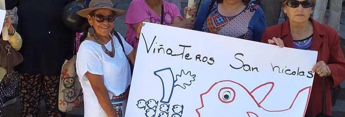 La dramática carta que viñateras/os entregaron a Piñera en Chillán