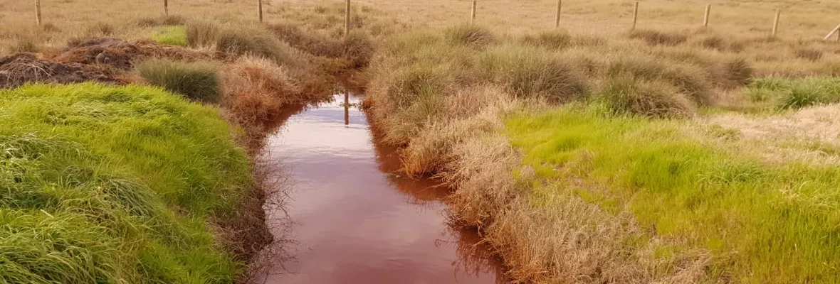 La contaminación de humedales ya es intercomunal: mancha roja llegó a Talcahuano