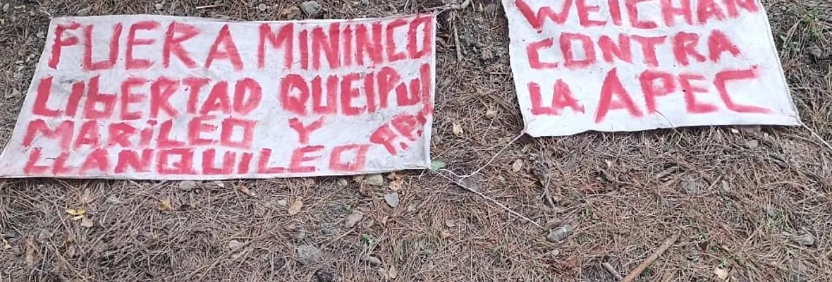 “Weichan contra la APEC”: queman maquinaria forestal en predio de Mininco en Contulmo