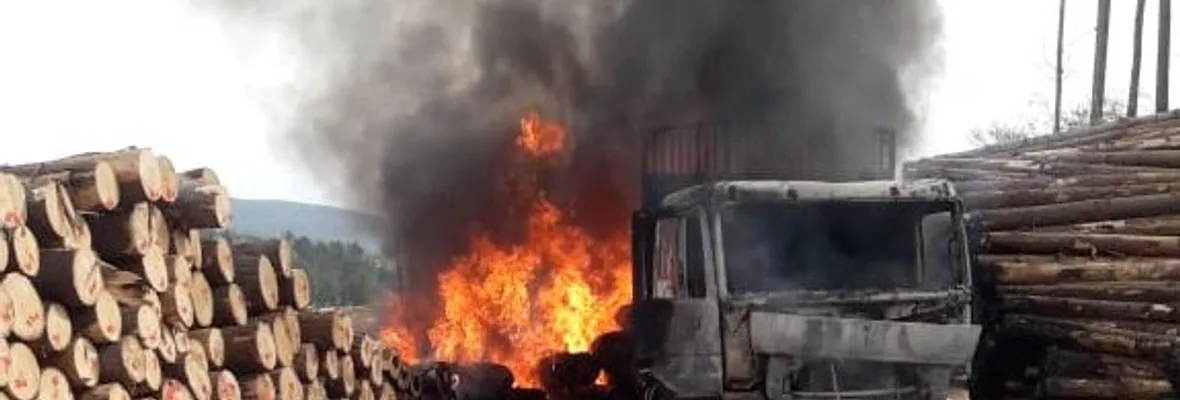 Atentan contra maquinaria forestal en predio de Mininco en Contulmo