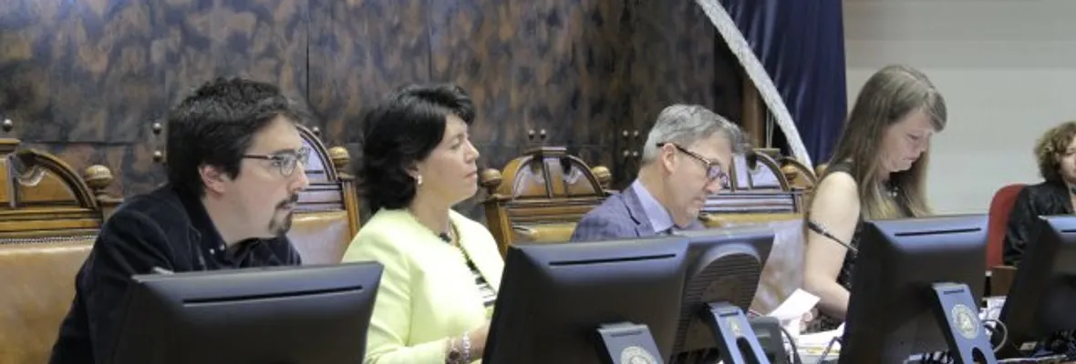 Comisión de Educación del Senado aprobó proyecto que busca eliminar notas entre 1º y 4º básico