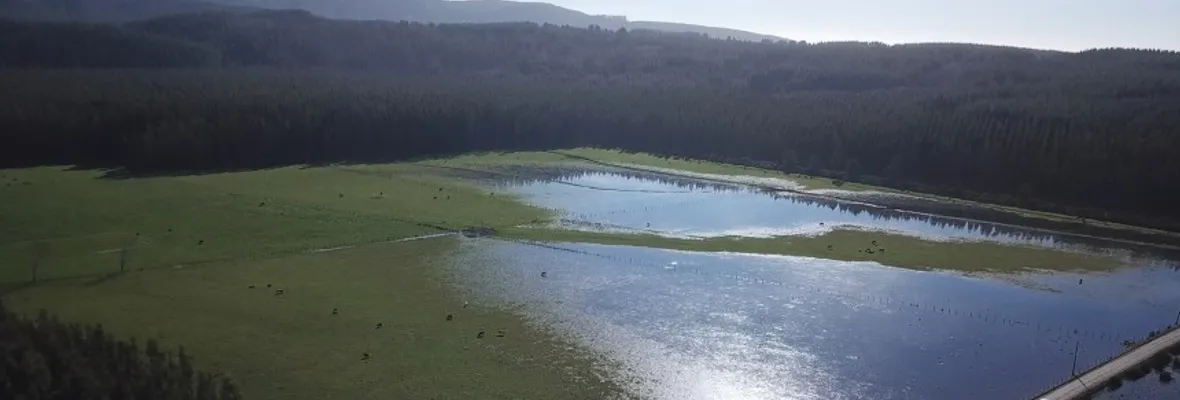 Humedal Tubul Raqui podría declararse santuario de la naturaleza: el expediente ya se entregó al Ministerio del Medio Ambiente