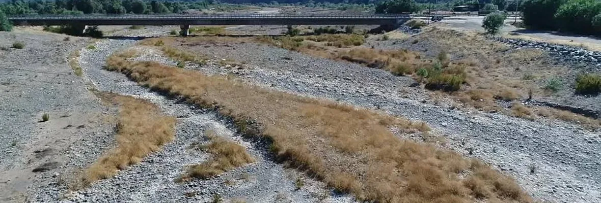 Alcalde de Petorca denuncia que empresas saquean el agua y pide prohibir plantación de paltos y cítricos